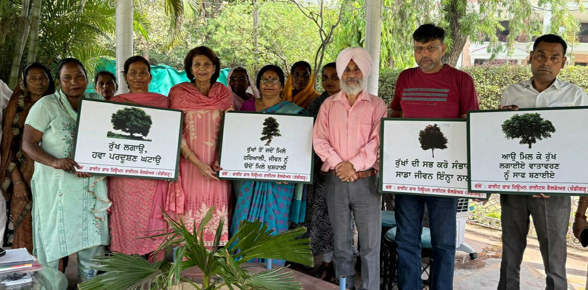 Awareness campaign for planting trees.